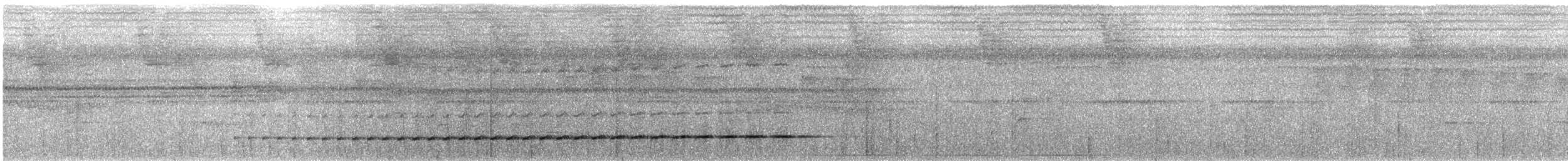 Schwarzkopf-Ameisendrossel - ML412513821