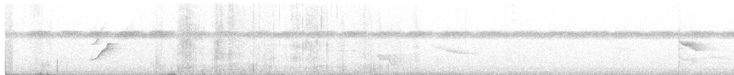 Wire-tailed Manakin - ML412534521