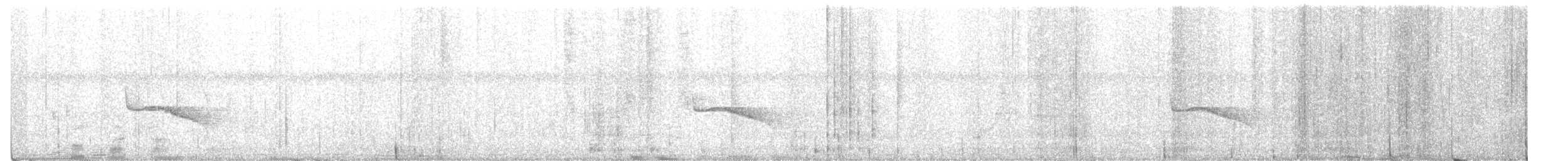 Weißflecken-Ameisenwächter - ML412541341