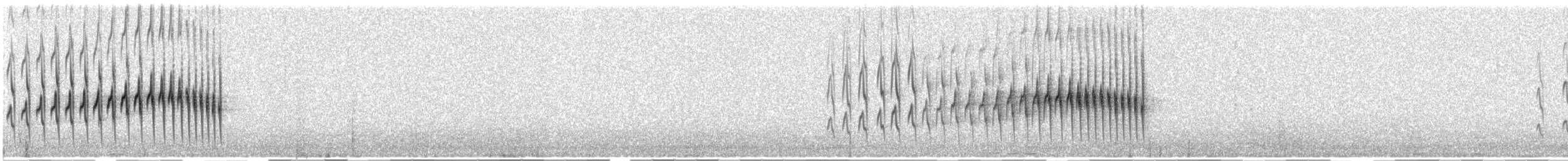 Strichelrückencanastero (Rötelflügelcanastero) - ML412591571