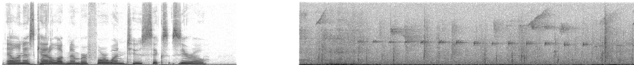 Spot-winged Parrotlet - ML41260