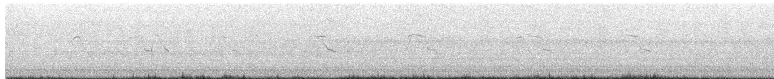 moták tichomořský - ML412746471