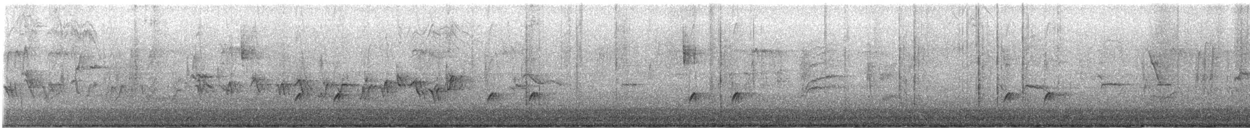 Greater Pewee - ML412798891