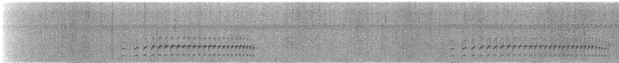 Graubrust-Dickichtschlüpfer - ML412851471