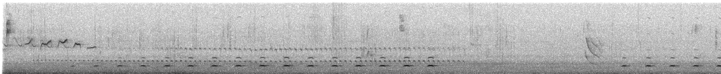 krattmyggsmett (plumbiceps/anteocularis) - ML412933081