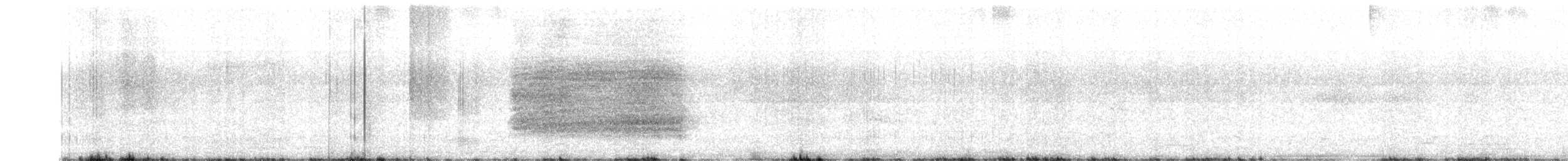 American Barn Owl - ML413108241