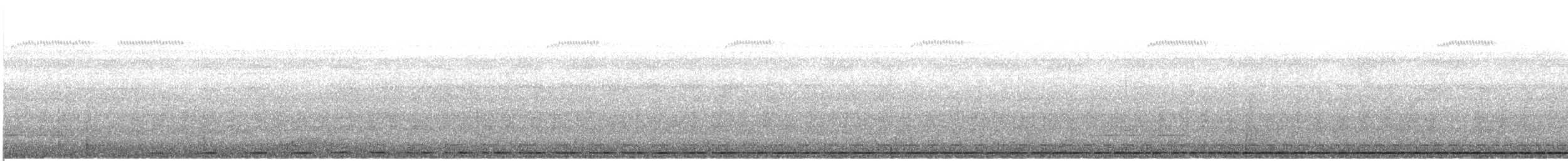 Weißkehl-Ameisendrossel - ML413119311