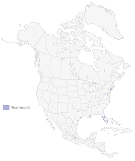 Figure 1. Distribution of the Monk Parakeet in North America. - Range Map