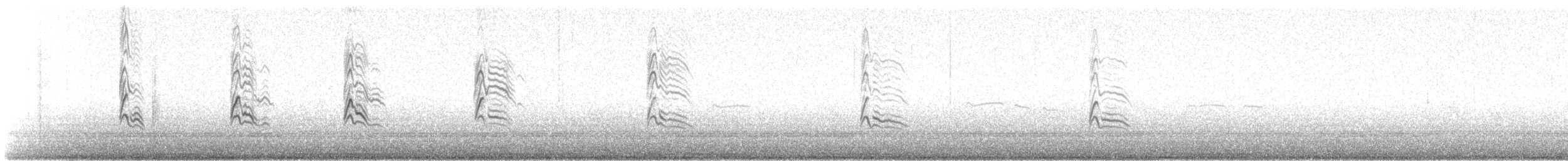 Kara Karınlı Islıkçı Ördek - ML413295331