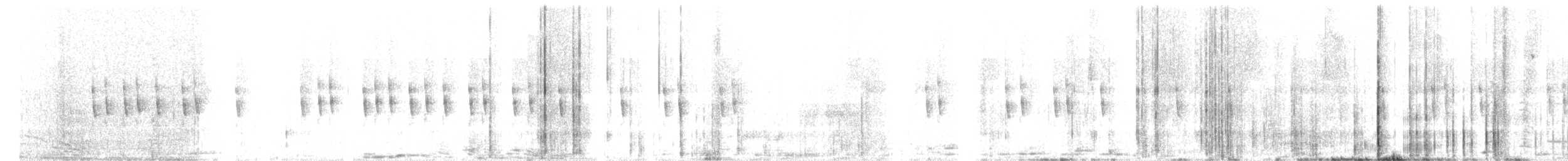 Plain Prinia - ML413431821