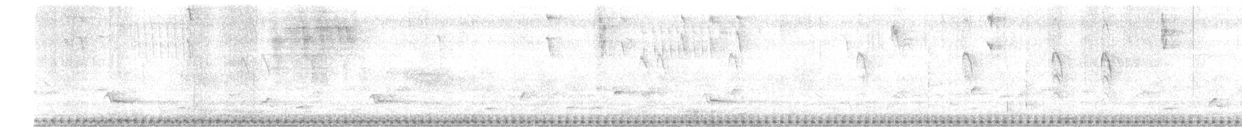 Puerto Rican Owl - ML413453241