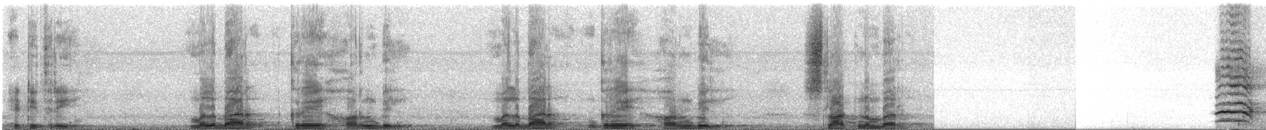 Malabar Gray Hornbill - ML413505471