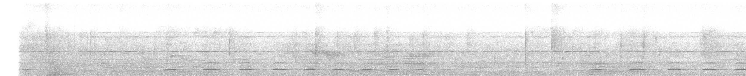 Hint Yazılı Serçe Baykuşu - ML413519281