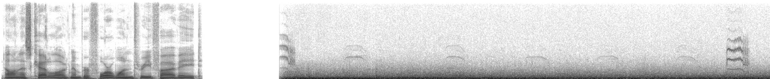 Flussseeschwalbe (hirundo/tibetana) - ML41358