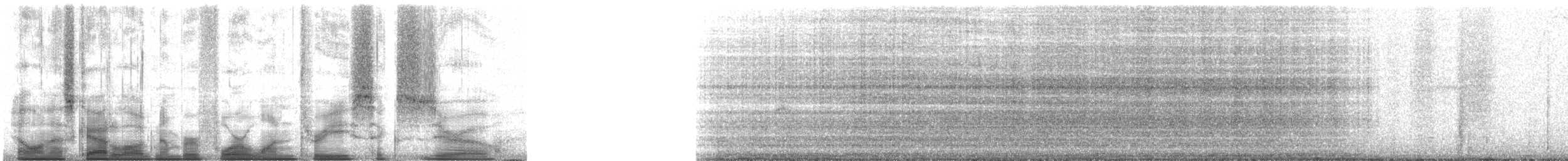 Aura Gallipavo - ML41360