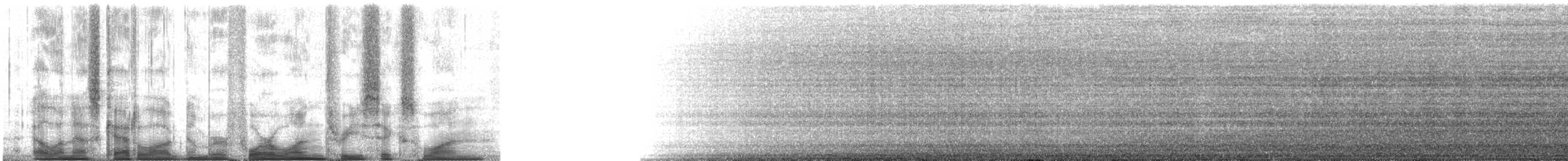 Aura Gallipavo - ML41361