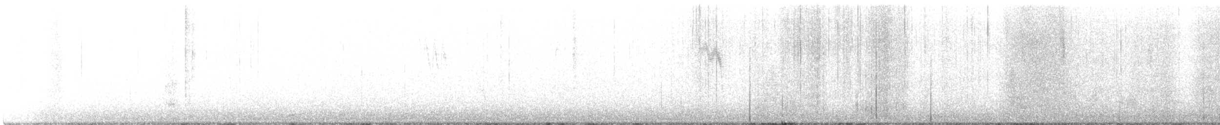 Тауї плямистий - ML413612631