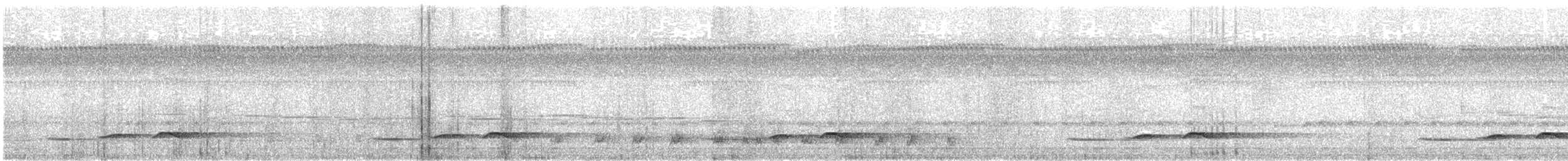 Dusky Long-tailed Cuckoo - ML413627681