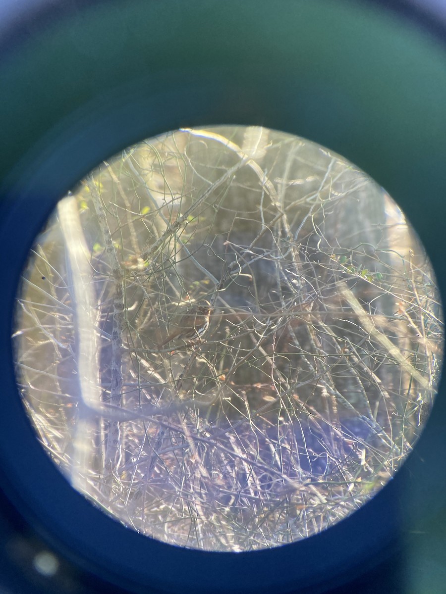 revespurv - ML413664031
