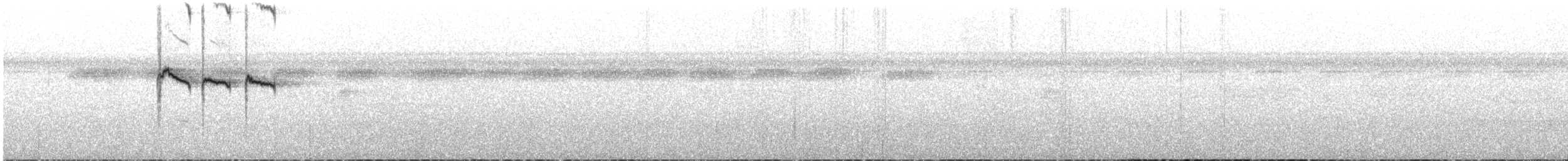 Rufous-backed Stipplethroat (Rufous-backed) - ML41369421