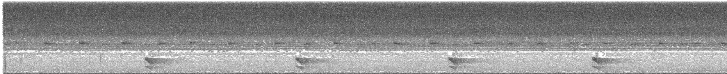 Barred Forest-Falcon - ML413732541