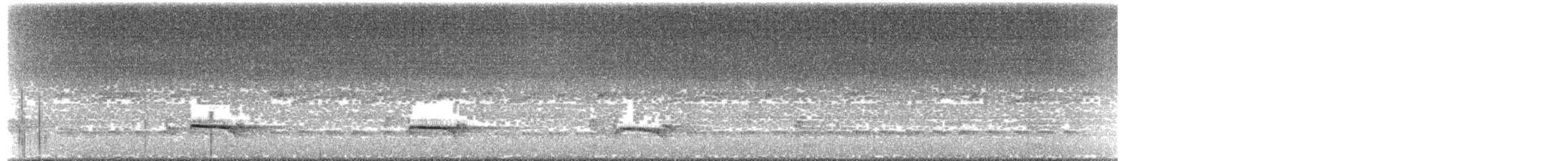 White-throated Woodcreeper - ML413733621