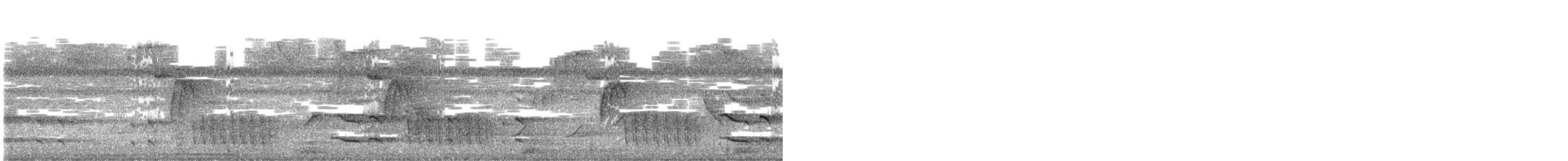 Bay Wren - ML413782551