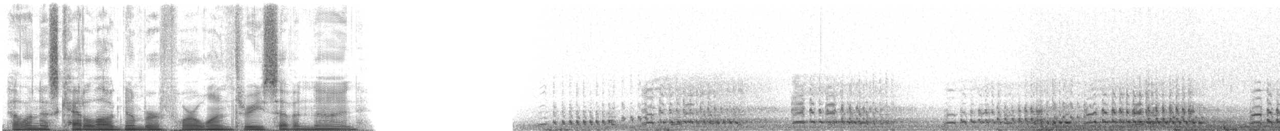 Grulla Canadiense (pratensis) - ML41379