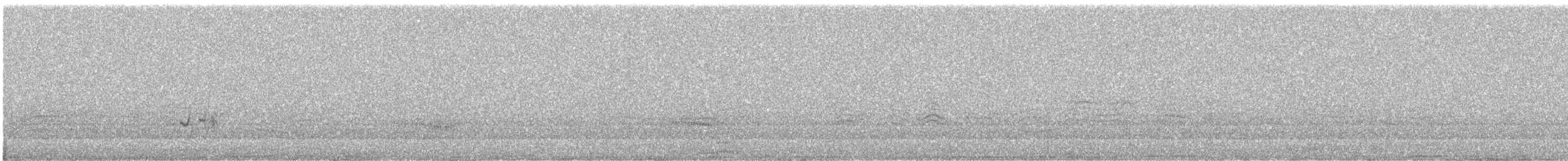 Качурка мадерійська (підвид castro) - ML413839001