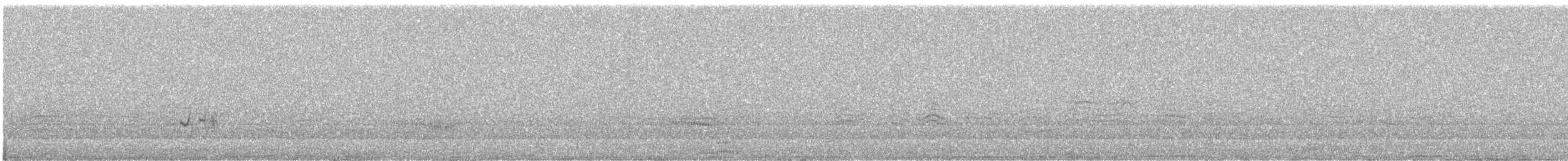 Band-rumped Storm-Petrel (Madeiran) - ML413839001