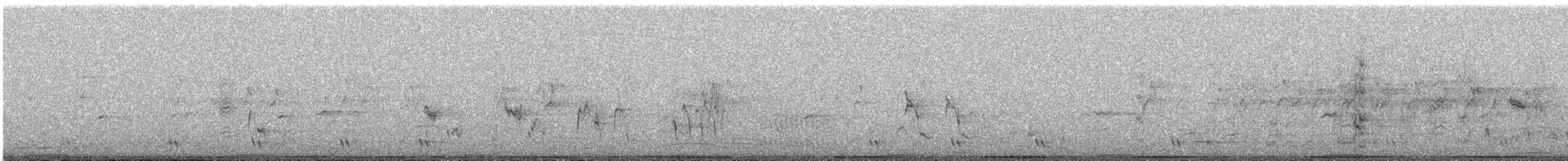 Torillo Pintojo - ML413852041