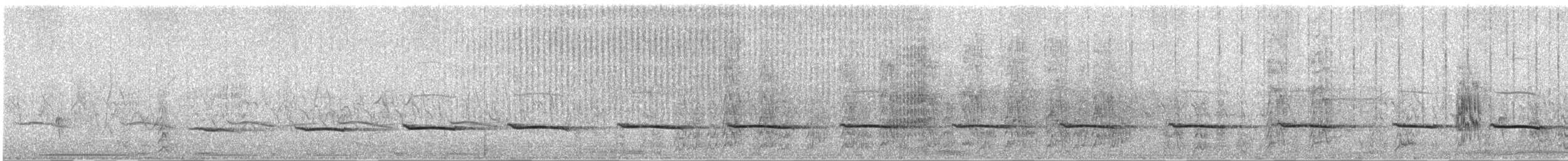 Brushland Tinamou - ML413881341