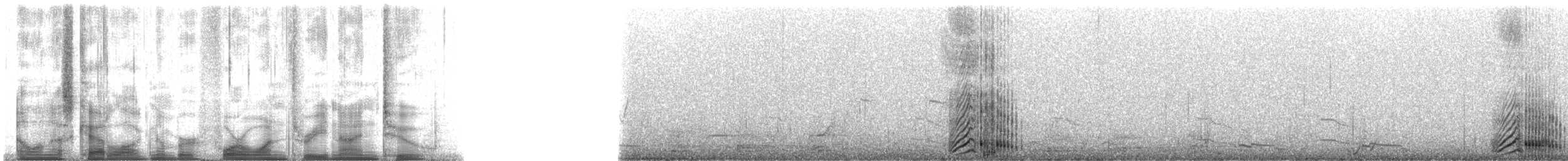 knoppsvane - ML41392