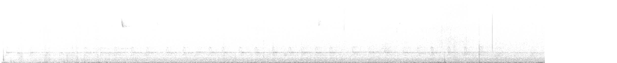 hvitbrynsvartspett - ML413925821