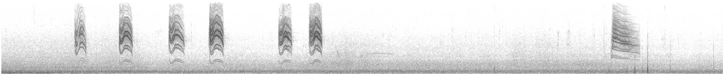 leskot modrošedý [skupina obscura] - ML413953121
