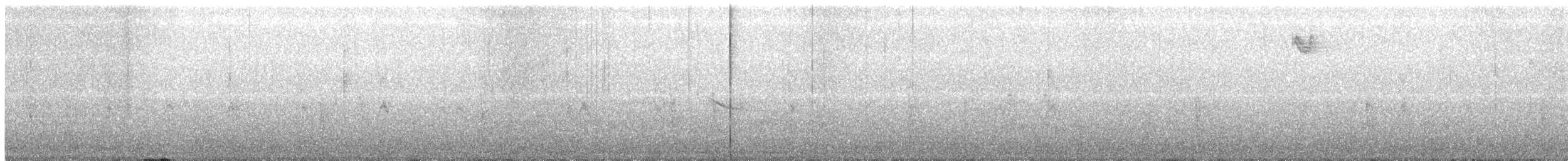 Дрізд-короткодзьоб плямистоволий - ML41401851