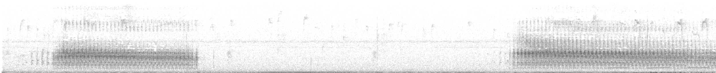 White-throated Crake (Gray-faced) - ML414145941
