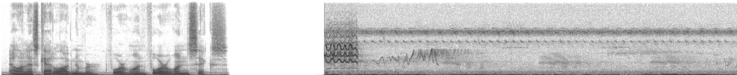 Gri Kerkenez - ML41416