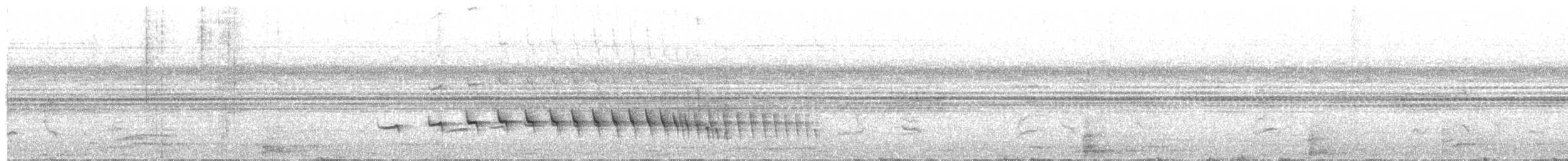 Weißkehl-Ameisenschlüpfer - ML414190601