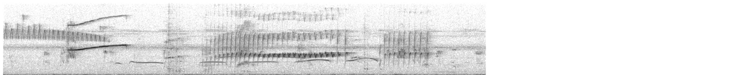 gråbekard - ML414198601