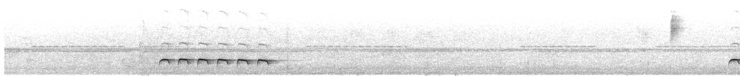 Weißbinden-Ameisenvogel - ML414339781