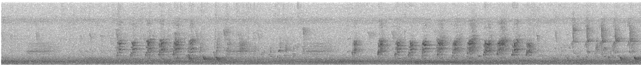 White-streaked Honeyeater - ML41441941