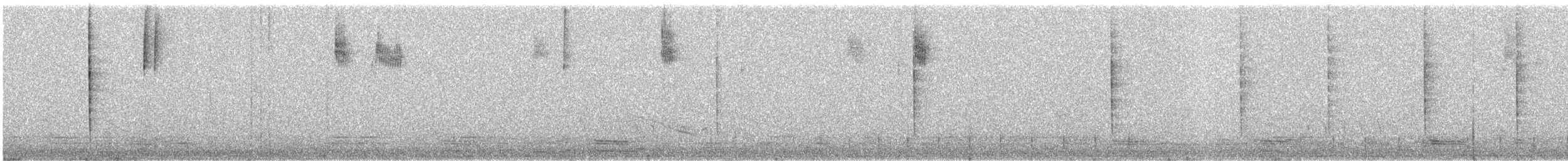 Kara Gözlü Junko (hyemalis/carolinensis) - ML414431031