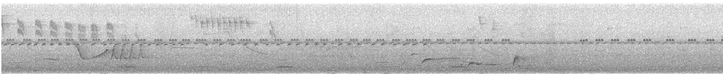 Поплітник плямистоволий - ML414496171