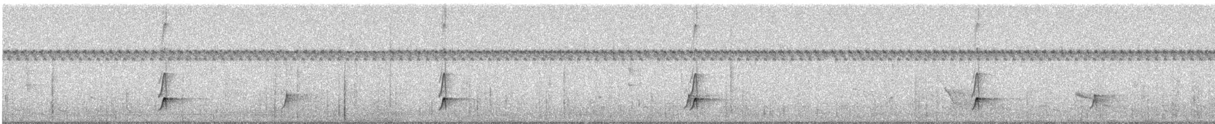 Myiarchus sp. - ML414500841