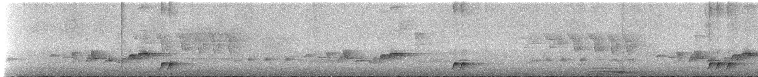 Schwartz Karıncaardıcı - ML414513911