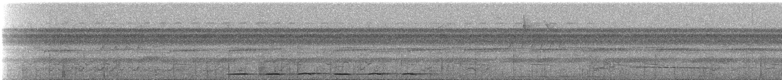 Пятнистый торорой (macularius) - ML414516011