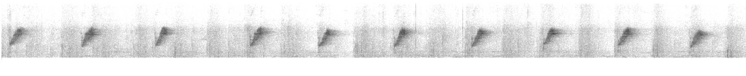 Ornate Sunbird (Cream-bellied) - ML414779291