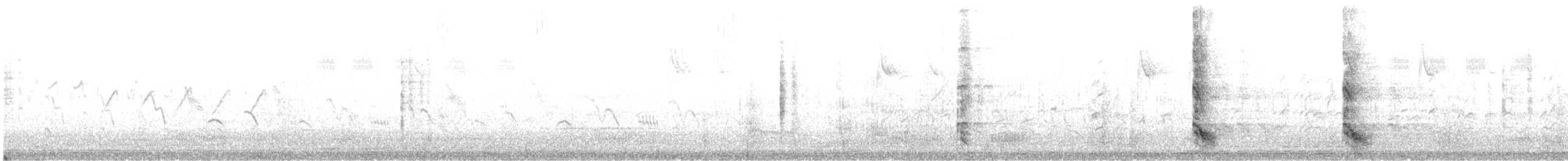 אנפית מנגרובים - ML414812011