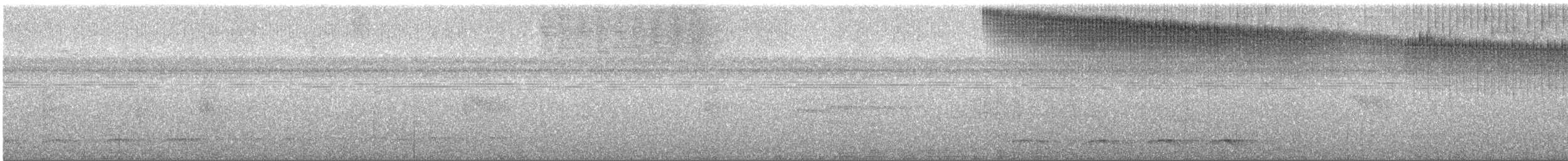 Kara Karınlı Pırıltı - ML414832161